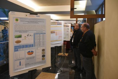 Poster sessions